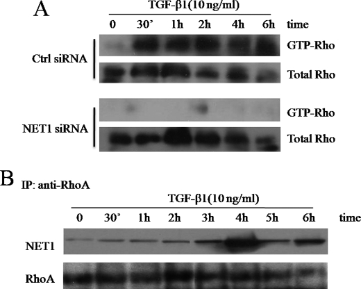 FIGURE 4.