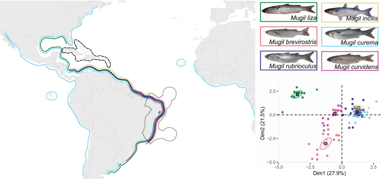 Fig. 1