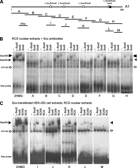 FIG. 6.