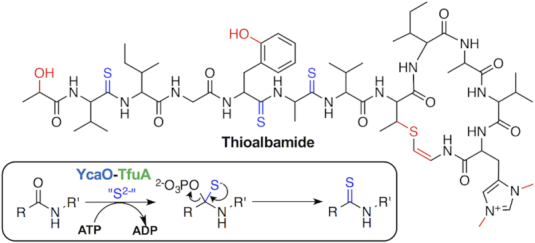 Figure 1.