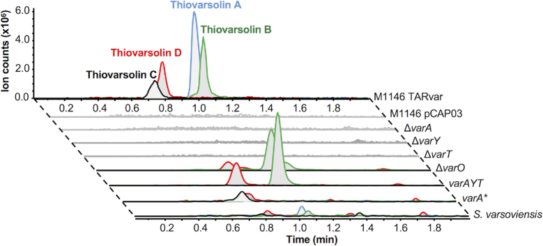 Figure 6.