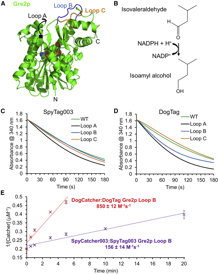 Figure 6