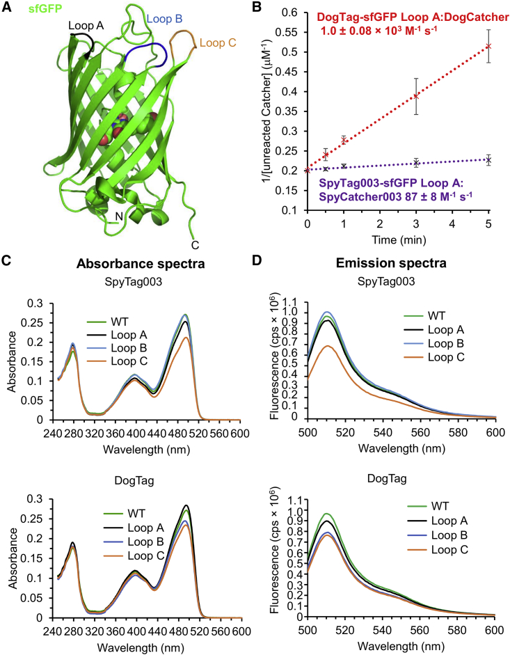 Figure 5