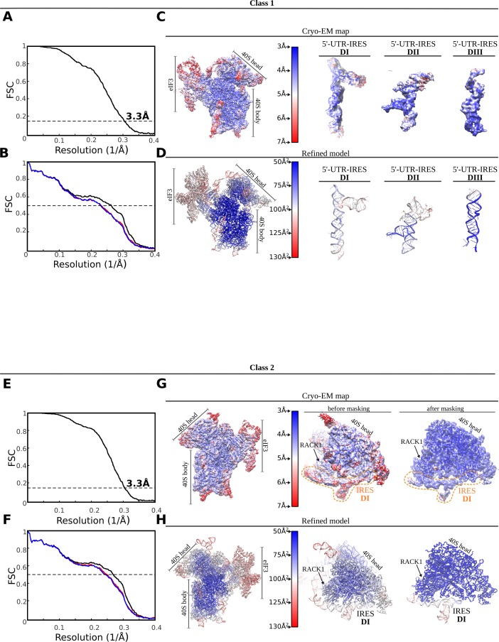 Figure 1—figure supplement 2.