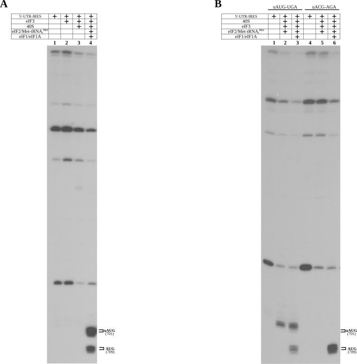 Figure 6—figure supplement 1.