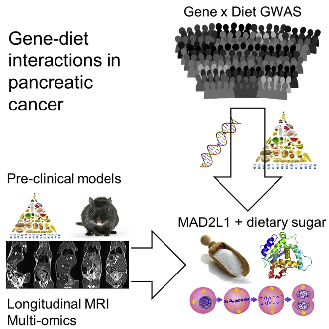 graphic file with name fx1.jpg