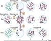 Image, graphical abstract