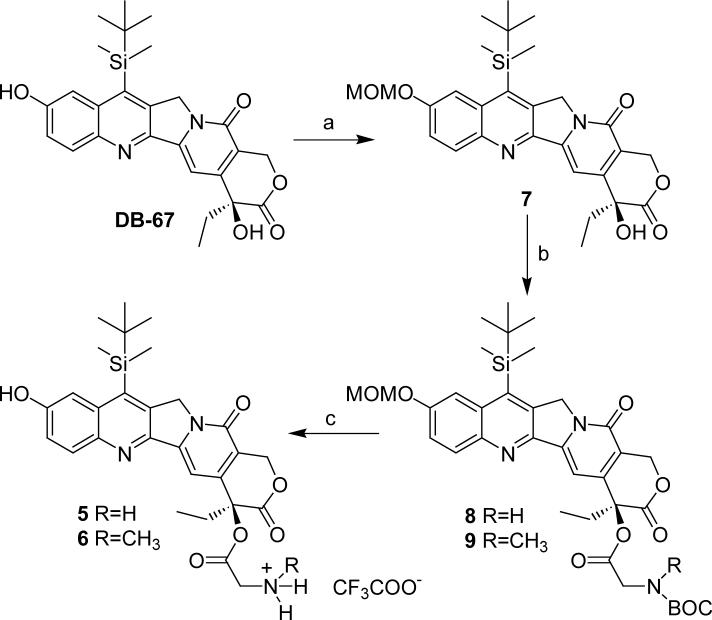 Scheme 1