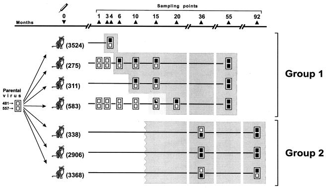 FIG. 1.