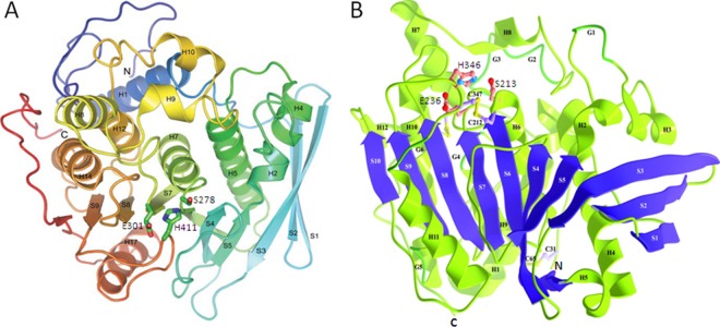 FIG 2