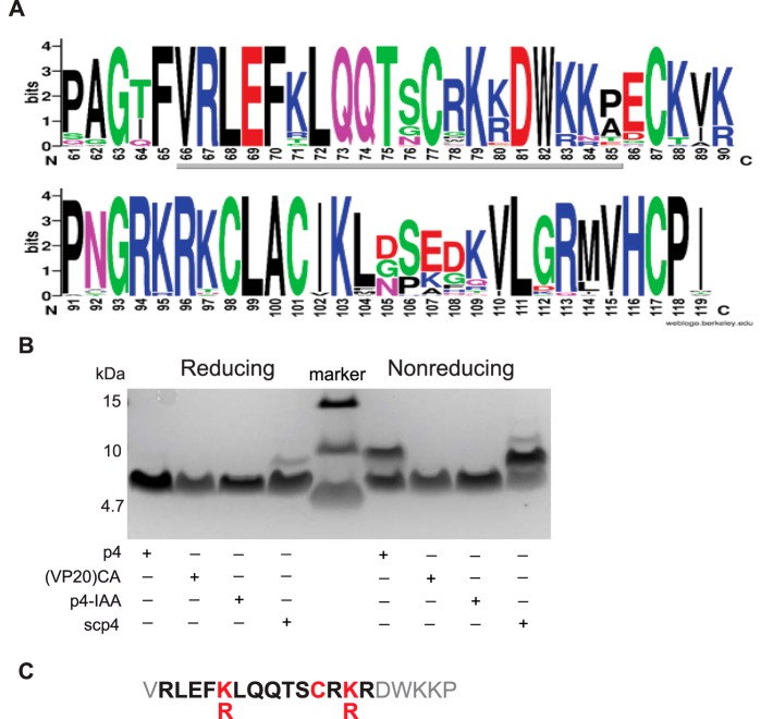 Figure 2.