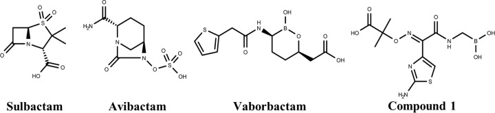 FIG 1