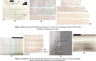 graphic file with name JOA3-39-269-g050.jpg