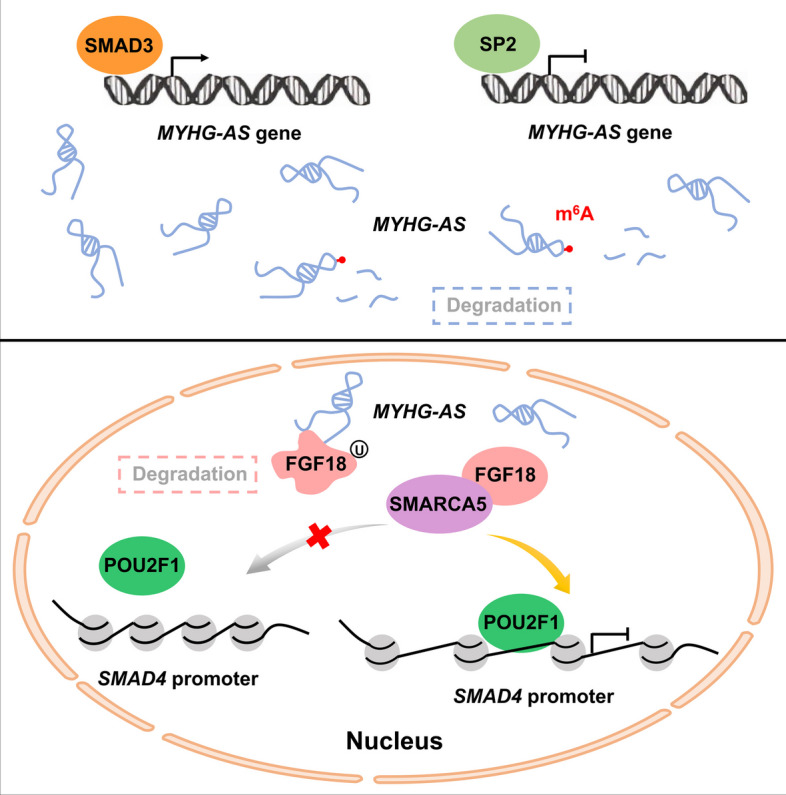 graphic file with name 11658_2023_525_Figa_HTML.jpg