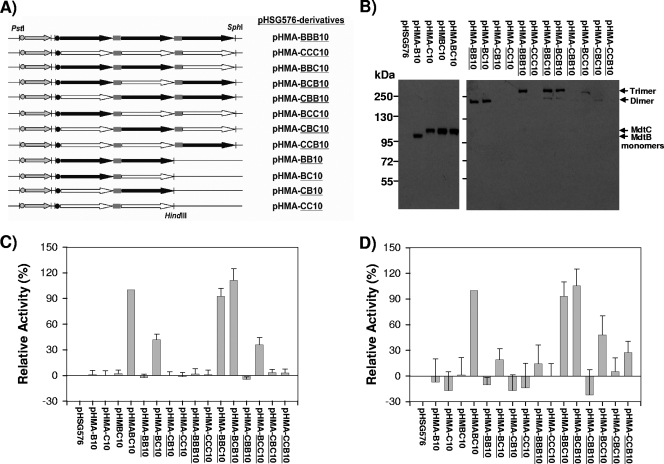 FIG. 3.