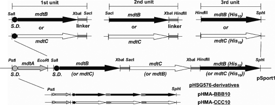 FIG. 1.