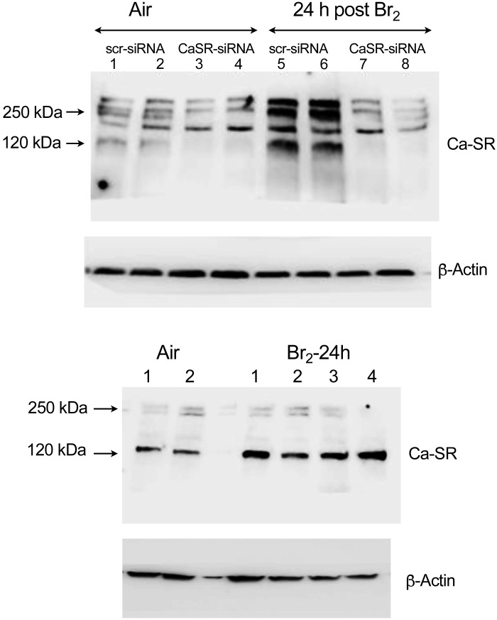 Fig. 10.