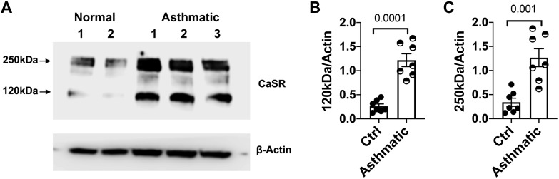 Fig. 9.