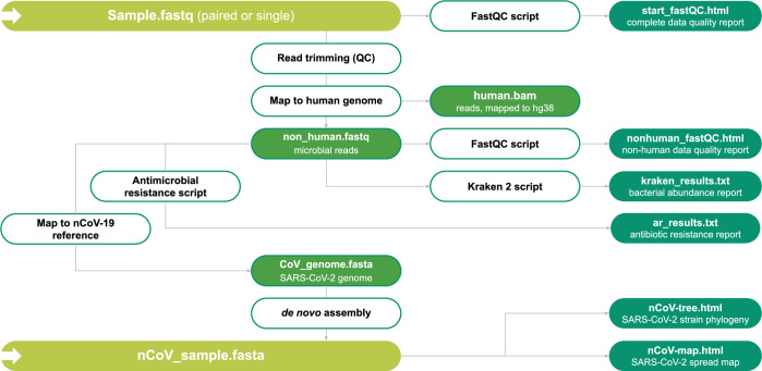 Fig 2