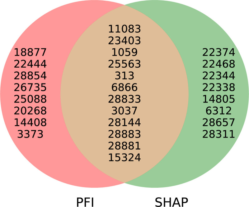 Fig 10