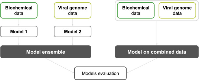 Fig 11