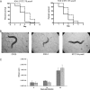 FIG. 2.