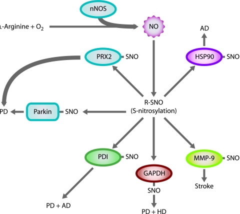 FIG. 1.