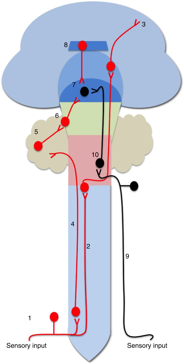 Fig. 1