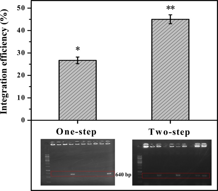 Figure 6