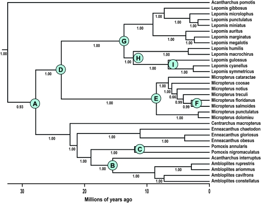 Figure 3.—