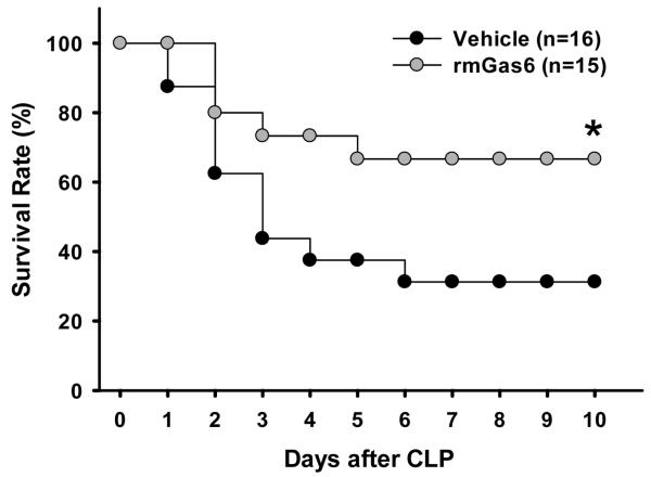 FIG. 8