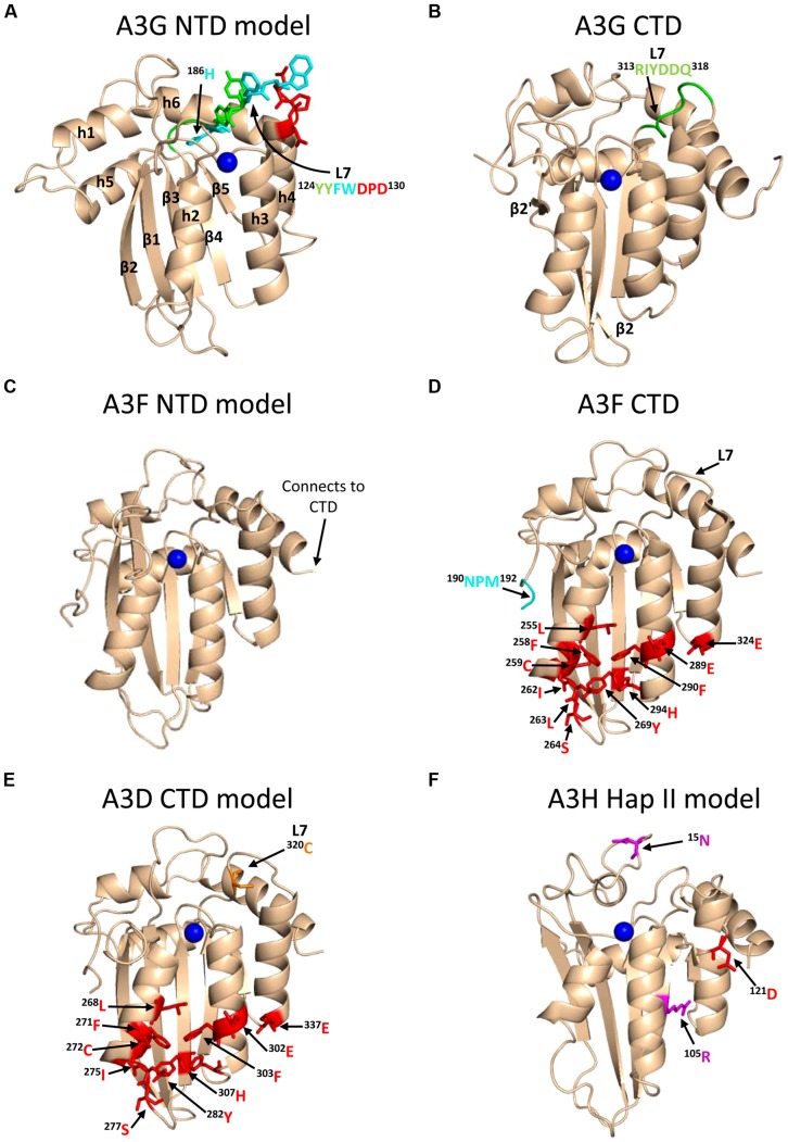 FIGURE 3