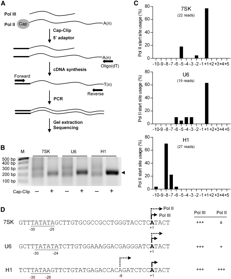 Figure 7