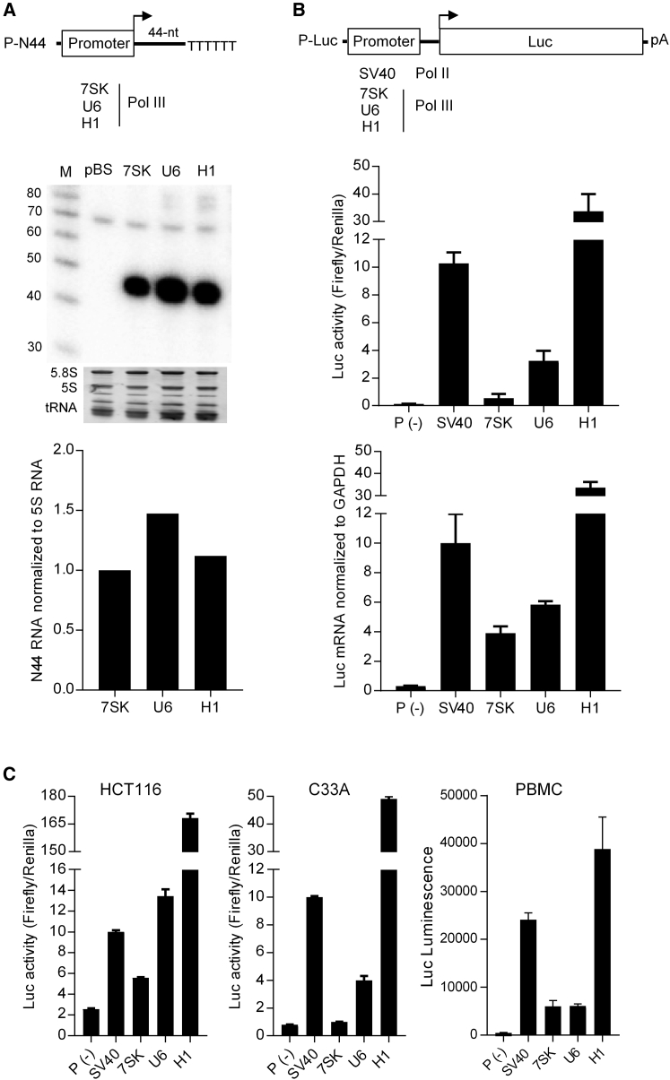 Figure 1