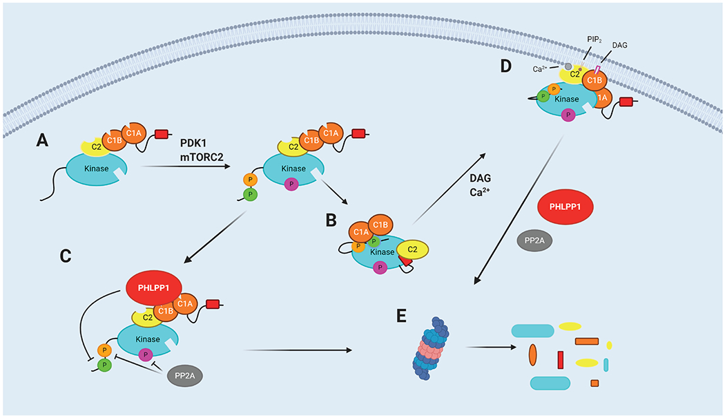 Figure 2: