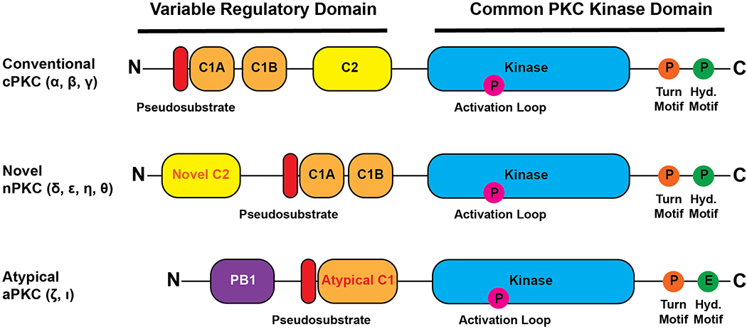 Figure 1: