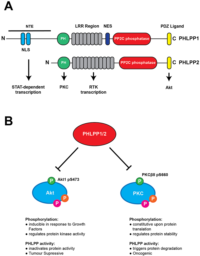 Figure 3: