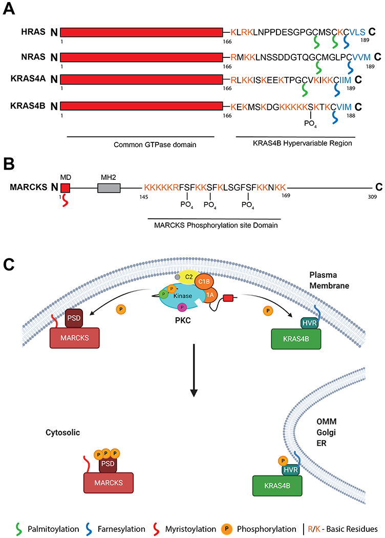 Figure 5: