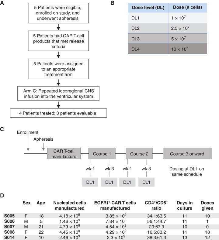 Figure 1. BrainChild-03 arm C trial design. A, CONSORT diagram of BrainChild-03 arm C interim analysis. Five patients were eligible and underwent apheresis, which led to a CAR T-cell product meeting release criteria in all patients. Four patients advanced to receive CAR T-cell therapy and three patients were evaluable. B, Dose levels. C, Clinical trial schedule for patients enrolled on dose regimen (DR) 1. By completion of course 2 (the end of the DLT observation window) patients have received 4 doses at DL 1. If study criteria are met, patients may elect to continue beyond course 2 at DL1. D, DIPG patient demographics and product characterization.