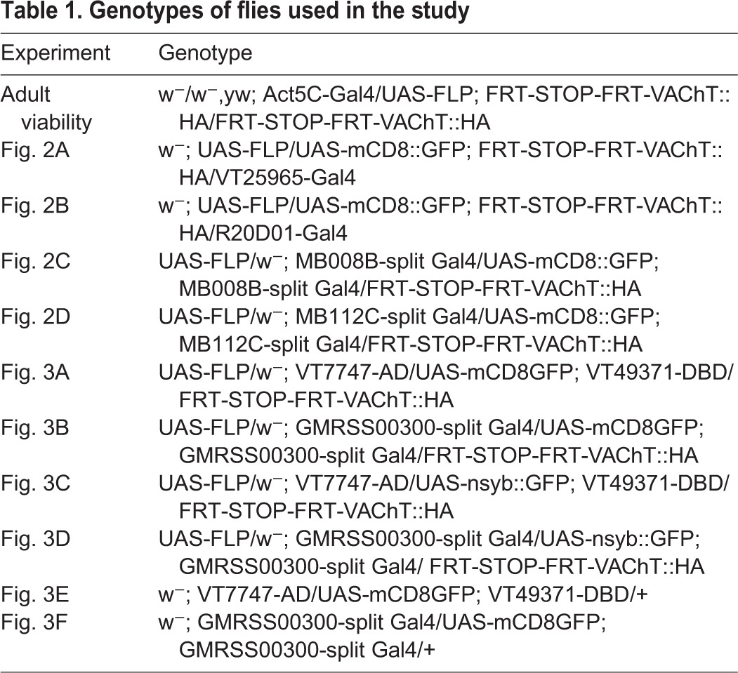 graphic file with name jexbio-220-149369-i1.jpg