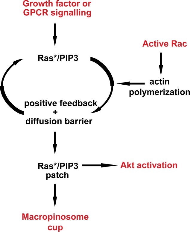 Figure 2.