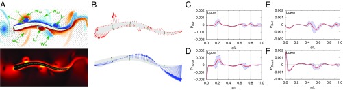 Fig. 4.