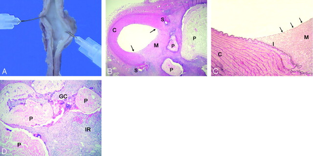 Fig 3.