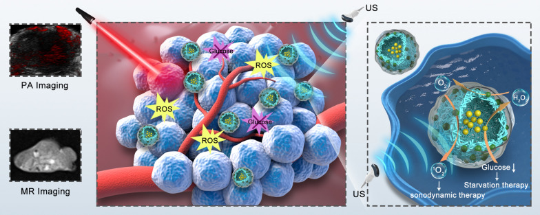 graphic file with name 12951_2021_837_Figa_HTML.jpg