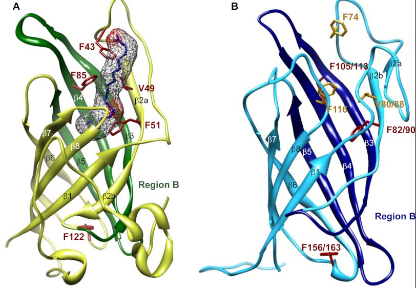 FIGURE 11.