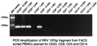 FIG. 8