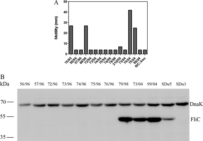 FIG 5