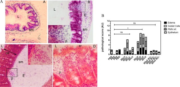 FIG 4