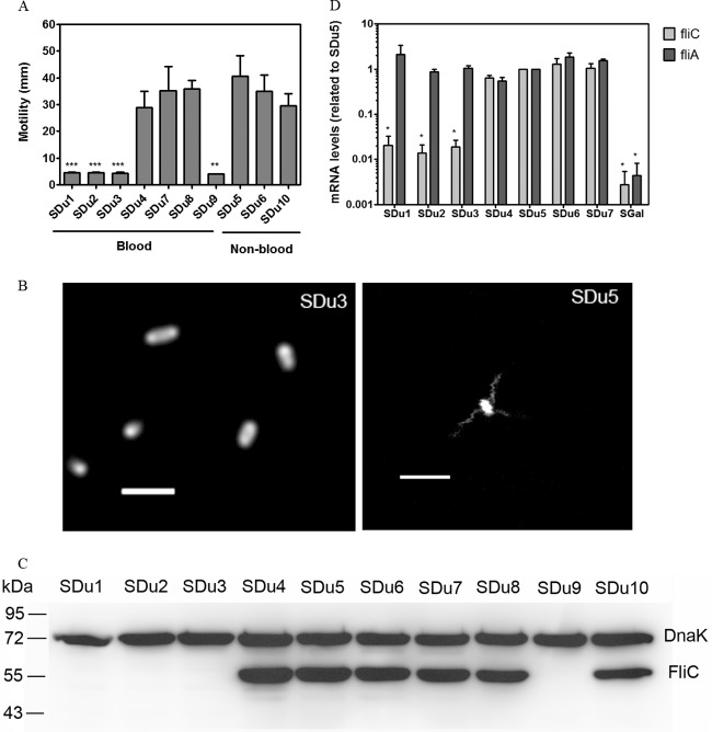 FIG 1