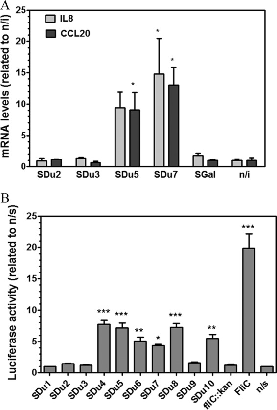 FIG 2